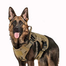 Tigela Dupla para Gatos e Cães – Comedouro com Bebedouro Automático para Água e Ração