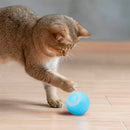 Bola Inteligente USB para Pets – Rotação Automática 360° e Recarga via Cabo