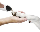 Aparador de Unhas Pet LoPetz™ – Lixador Recarregável, Seguro e Indolor para Seu Animal