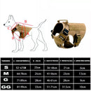 Tigela Dupla para Gatos e Cães – Comedouro com Bebedouro Automático para Água e Ração