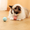 Bola Inteligente USB para Pets – Rotação Automática 360° e Recarga via Cabo