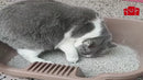 Pá de Limpeza para Gato com Dispenser – Coletor Integrado para Caixa de Areia e Vaso Sanitário Pet